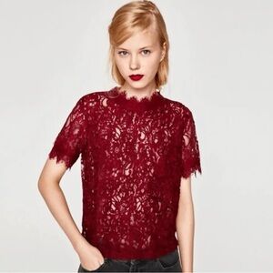 Zara Burgundy Trafaluc Lace Embroidered Crop Top Size S Romantic Sheer